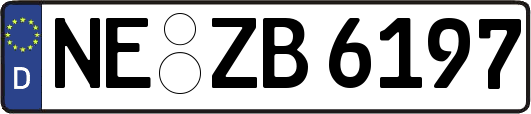 NE-ZB6197