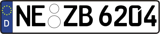 NE-ZB6204