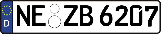 NE-ZB6207