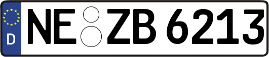NE-ZB6213