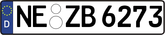 NE-ZB6273