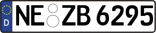 NE-ZB6295