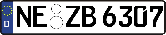 NE-ZB6307