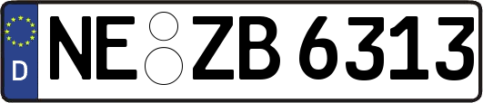 NE-ZB6313
