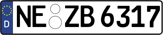 NE-ZB6317