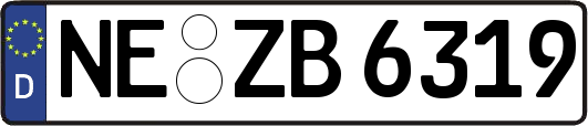NE-ZB6319