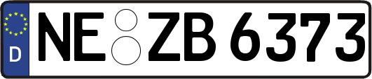 NE-ZB6373