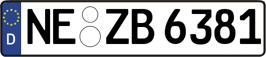 NE-ZB6381
