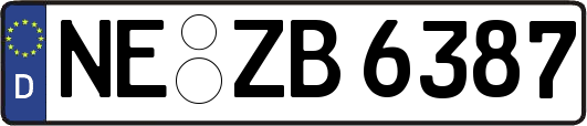 NE-ZB6387
