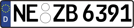 NE-ZB6391