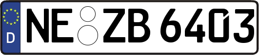 NE-ZB6403