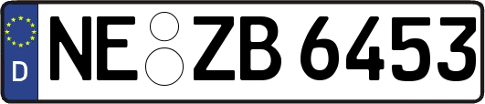 NE-ZB6453