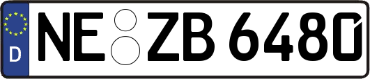NE-ZB6480