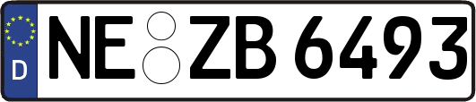 NE-ZB6493