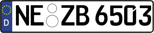 NE-ZB6503