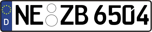 NE-ZB6504