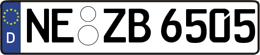 NE-ZB6505