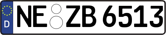 NE-ZB6513