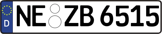 NE-ZB6515