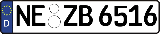 NE-ZB6516