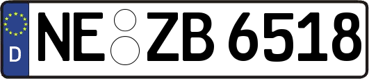 NE-ZB6518