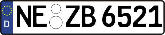 NE-ZB6521