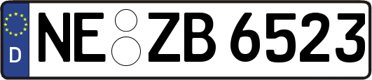 NE-ZB6523