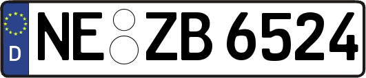 NE-ZB6524