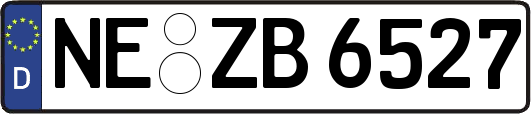 NE-ZB6527