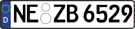 NE-ZB6529