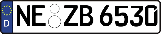 NE-ZB6530