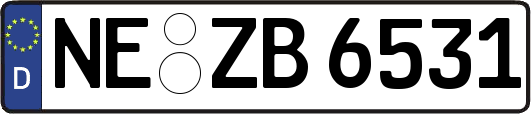 NE-ZB6531