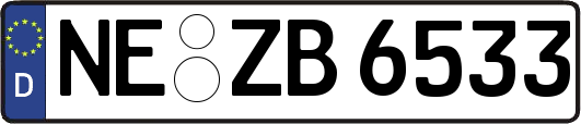 NE-ZB6533