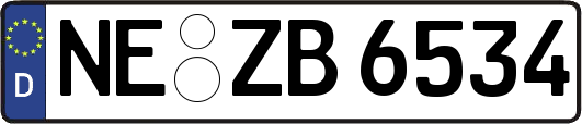 NE-ZB6534