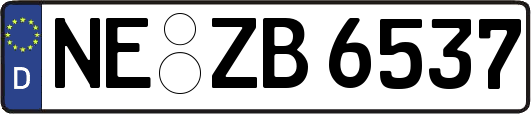 NE-ZB6537