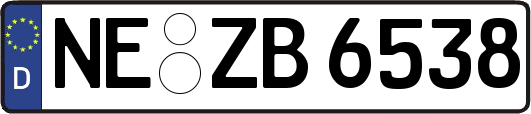NE-ZB6538