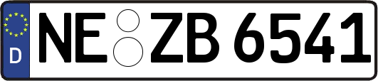 NE-ZB6541