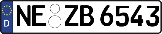 NE-ZB6543