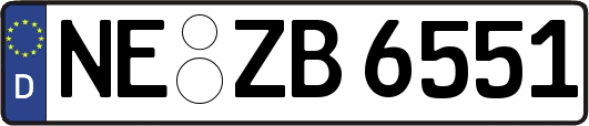 NE-ZB6551