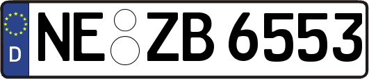 NE-ZB6553