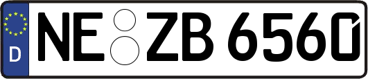 NE-ZB6560