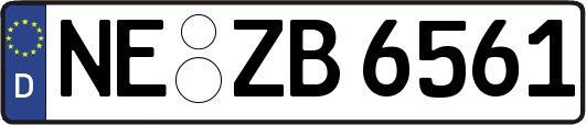 NE-ZB6561