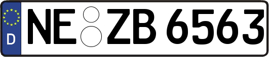 NE-ZB6563