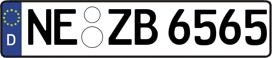 NE-ZB6565