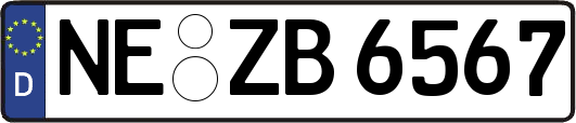 NE-ZB6567