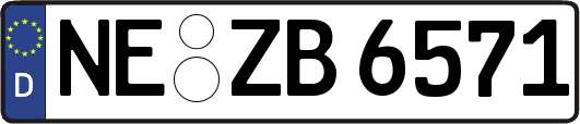 NE-ZB6571