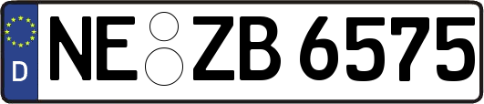 NE-ZB6575