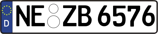 NE-ZB6576