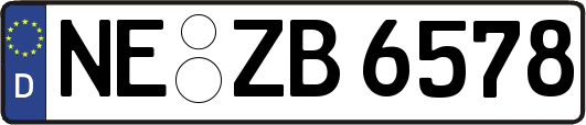 NE-ZB6578