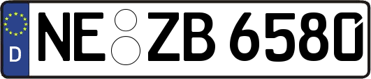 NE-ZB6580
